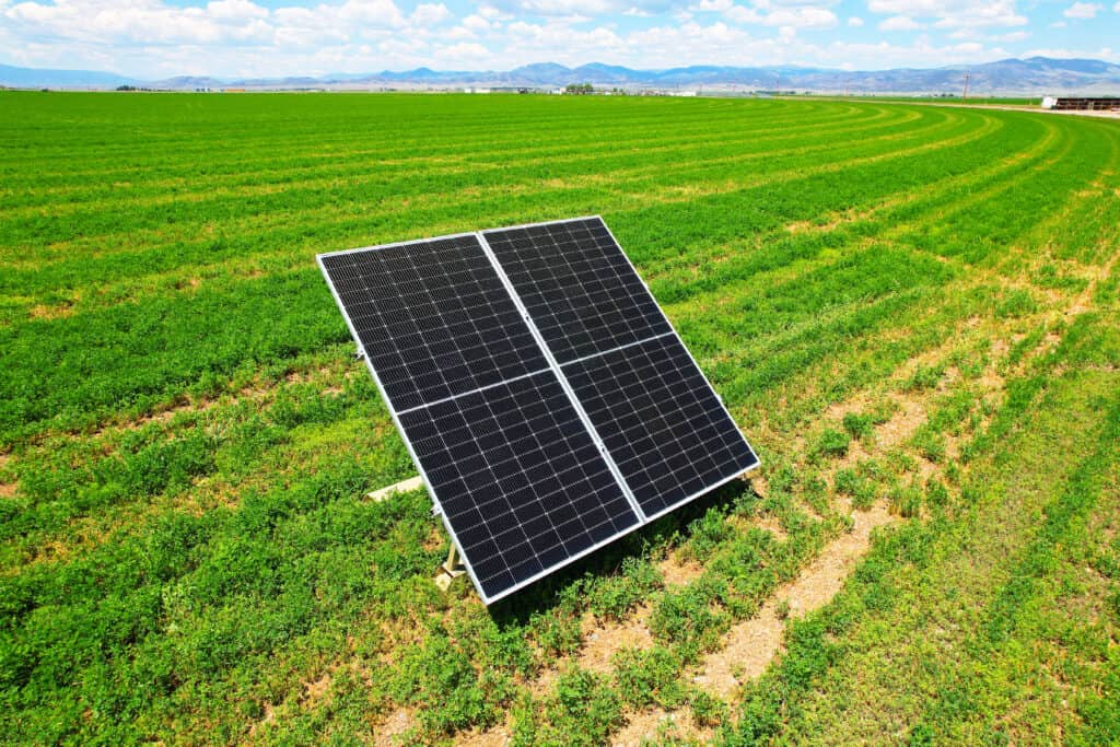 Solar for agriculture in a field